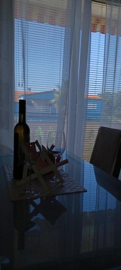 Nova Vas  Apartments Vesna מראה חיצוני תמונה