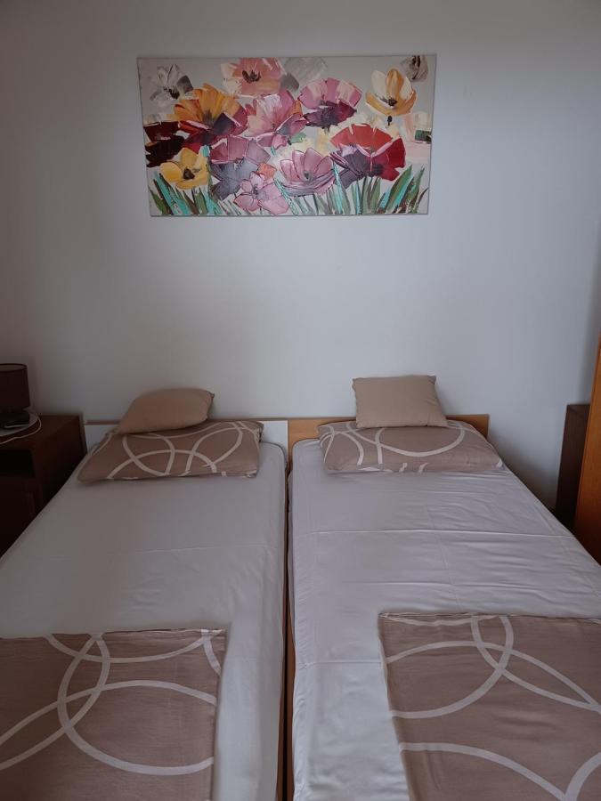 Nova Vas  Apartments Vesna מראה חיצוני תמונה