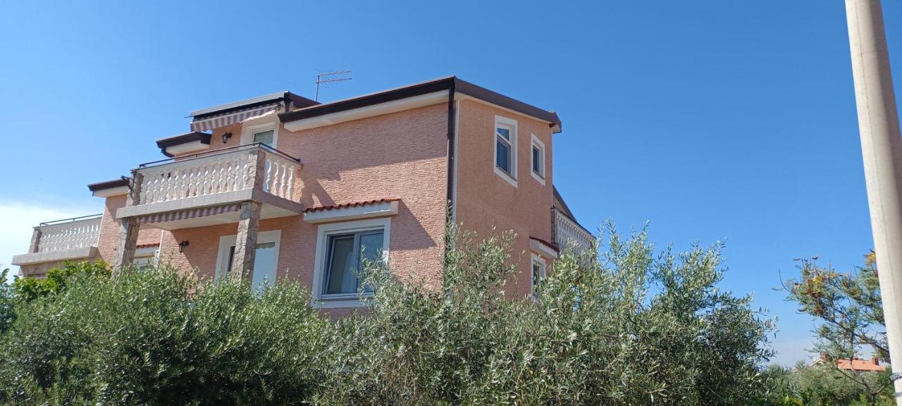 Nova Vas  Apartments Vesna מראה חיצוני תמונה