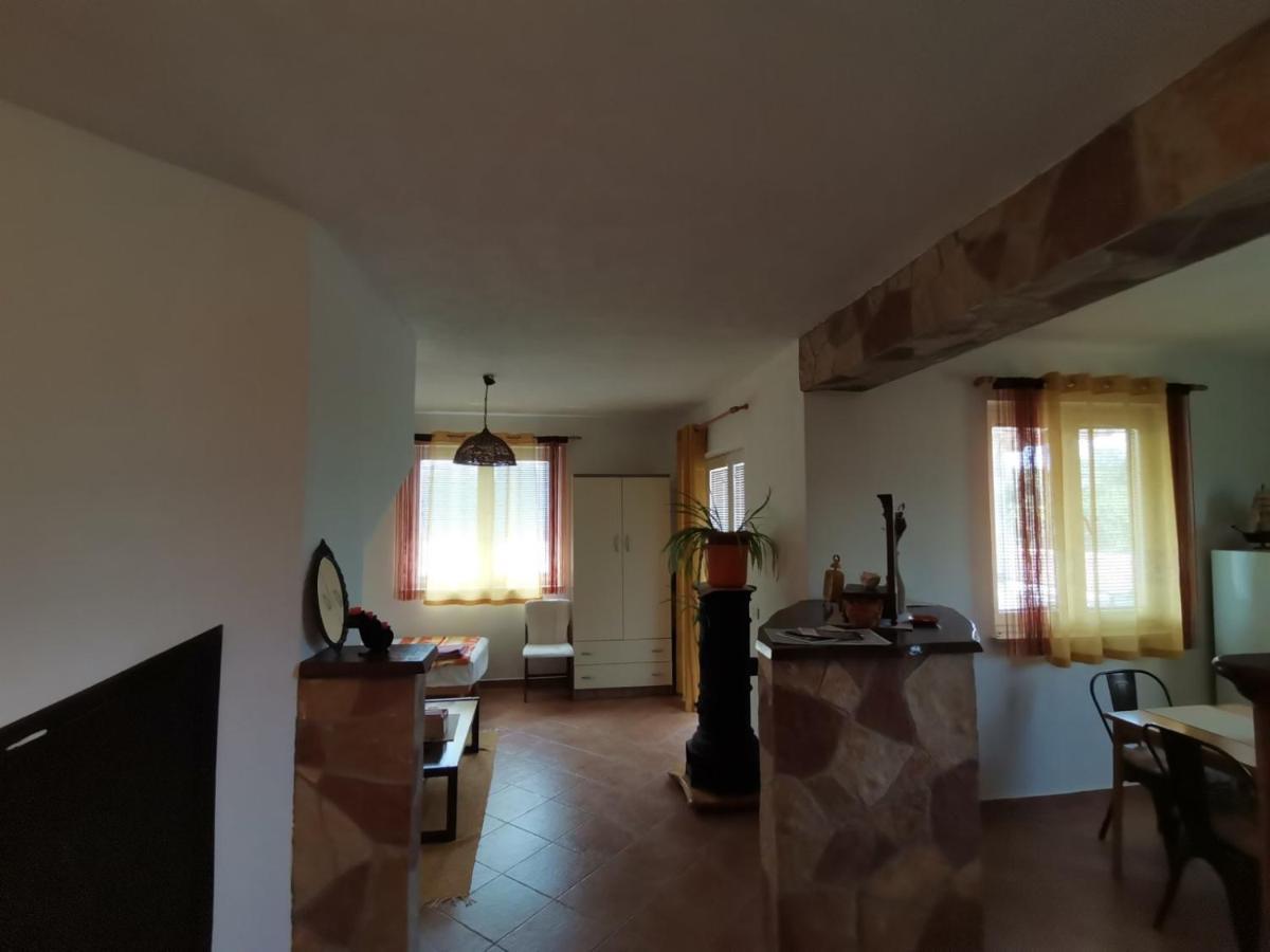 Nova Vas  Apartments Vesna מראה חיצוני תמונה