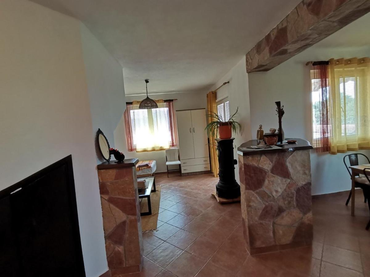 Nova Vas  Apartments Vesna מראה חיצוני תמונה