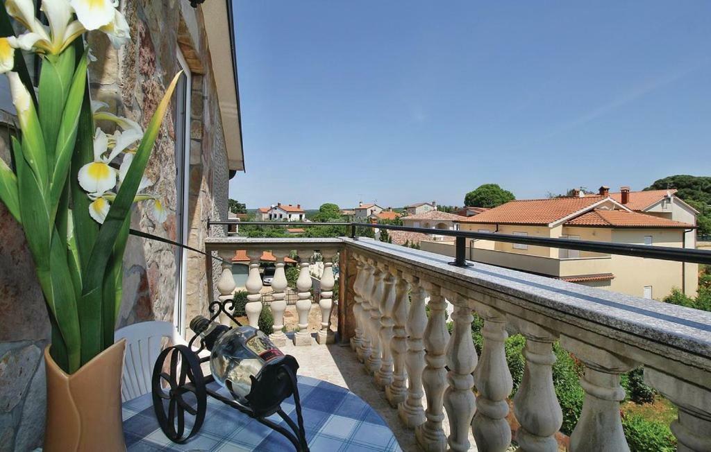Nova Vas  Apartments Vesna מראה חיצוני תמונה